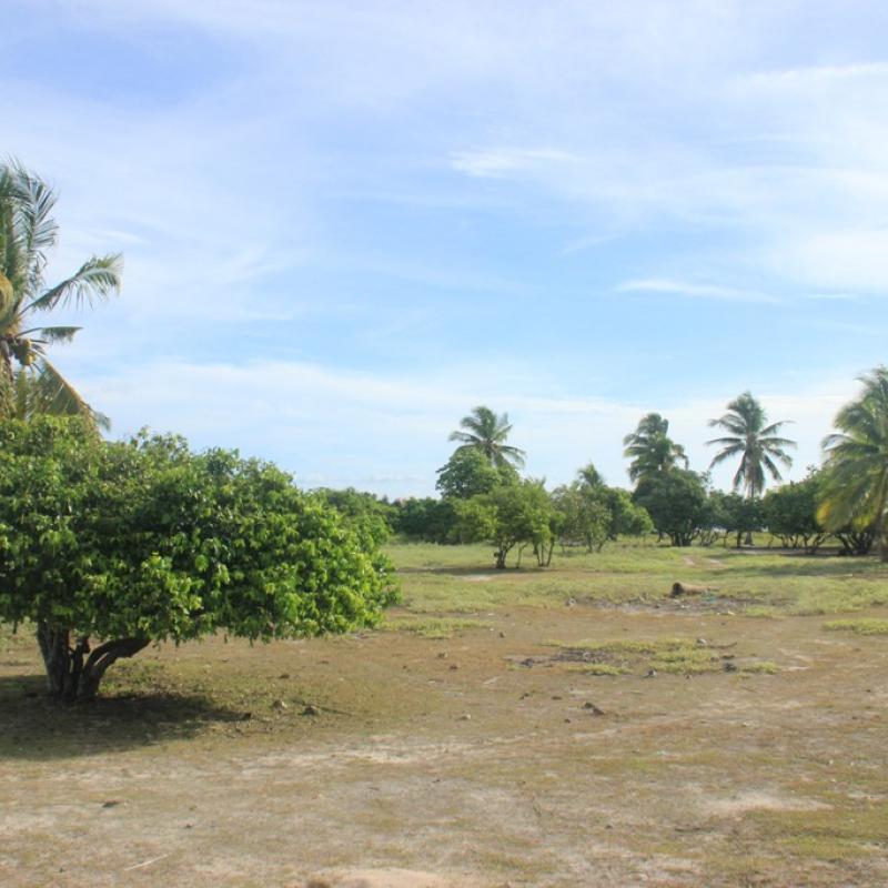 Terrain – villa - maison – propriété – à vendre – à louer – location - location longue durée – location à l’année – investissement – achat – vente – plage – bord de mer - sable blanc – Indonésie – Roti island – Bali – chambre – notaire – consultant - juridique – création - société – administration – voyage – entreprise – hôtel – commerce – restaurant – projet – visa – permis – travail – retraite – informations – découverte – aventure – produits – naturels – spa – salon – coiffure – réflexologie – savon – shampoing – anti-moustique – tourisme – plaisir – nature – surf – plongée – exploration – exotique – exotisme – massage – traditionnel – huile de massage – coucher de soleil – photos – galerie – soin de beauté – pédicure – manucure – agent immobilier – professionnel-Land - villa - house - property - for sale - rent - rental - leasing - rent annually - investment - purchase - sale - beach - sea - white sand - Indonesia - Rote island - Bali - bedroom - notary - consultant - legal - creation - company - administration - travel - business - hotel - shop - restaurant - project - visa - permit - work - retirement - information - discovery - adventure - products - natural - spa - lounge - hairdresser - reflexology - soap - shampoo – anti-mosquito – pleasure – nature – surf – diving – exploration - exotic - exotism - massage - traditional - massage oil - sunset - pictures - gallery - beauty treatment - pedicure – manicure – real estate agent – professional-Tanah - villa - rumah - properti - Dijual - disewakan - dikontrakan - menyewa per tahun - investasi - pembelian - penjualan - pantai - laut - pasir putih - Indonesia - pulau Roti - Bali - bedroom - notaris - konsultan - hukum - penciptaan - wisata - - bisnis - Hotel - bisnis - restoran - proyek - visa - izin - pekerjaan - pensiun - informasi - penemuan - petualangan - produk - spa - - alam ruang duduk - penata rambut - reflexology masyarakat - administrasi - sabun - shampoo – anti-nyamuk - Pariwisata - menyenangkan - semacam - surfing - diving – eksplorasi - eksotik - eksotis - pijat - tradisional - pijat minyak - sunset - Foto - galeri - perawatan kecantikan - pedicure – manicure – properti agen - Profesional